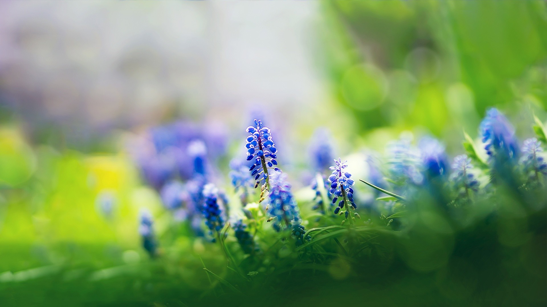 feedback